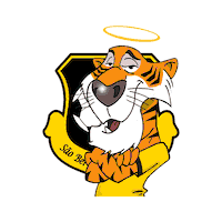 Sao Bento Xv Sticker by Federação Paulista de Futebol