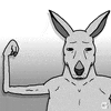 Kangaroos GIF by gifnews