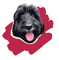 Dog Sticker by superbruce