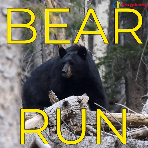 Bear Run Bitcoin GIF by Crypto Marketing
