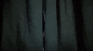 horror watching GIF