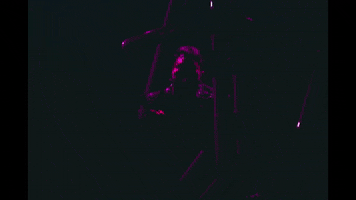 Point Of No Return Neon GIF by Earache Records