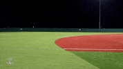 Go Navy Beat Army GIF by Navy Athletics