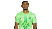 France Love Sticker by VfL Wolfsburg