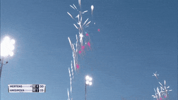 elise mertens tennis GIF by WTA