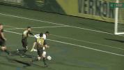 celebrate university of vermont GIF