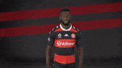 Western Sydney Wanderers Celebration GIF by wswanderersfc