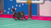 Football Playing GIF by Hallmark Channel