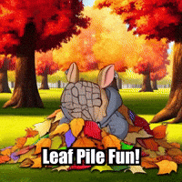Autumn Leaves GIF by Chillo Dillo