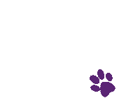 Paw Vet Sticker by Vetkom