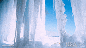 GIF by Visit The USA MX