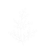 Flower Plant Sticker