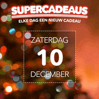 playstation GIF by VakantieVeilingen