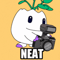 Awesome So Cool GIF by Magic Eden