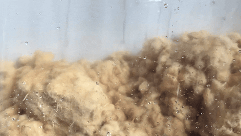 zoamandinefery giphyupload GIF