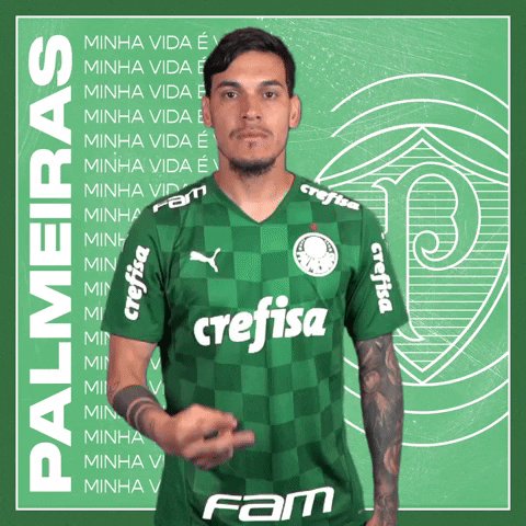 Soccer Futebol GIF by SE Palmeiras