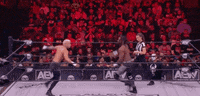 All Elite Wrestling GIF by AEWonTV