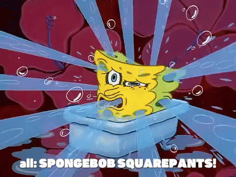 season 8 GIF by SpongeBob SquarePants