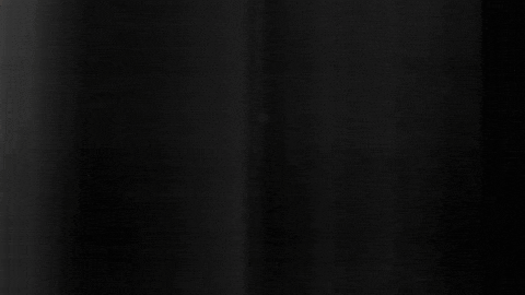 Football Sport GIF by SK Sturm Graz