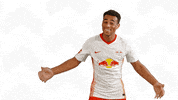Tyler Adams Hug GIF by RB Leipzig