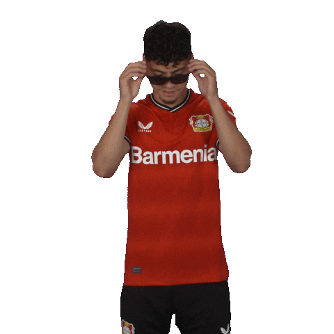 Football Sun Sticker by Bayer 04 Leverkusen