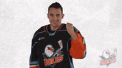 American Hockey League Yes GIF by San Diego Gulls