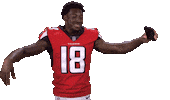 Atlanta Falcons Sticker Sticker by NFL