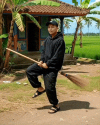 Harry Potter Trending GIF by Darwin