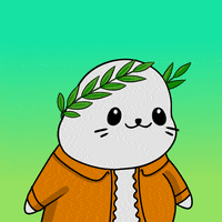 Fun What GIF by Sappy Seals Community