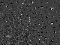 illusion GIF by massa