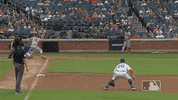 Ny Mets Sport GIF by New York Mets