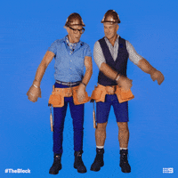 Channel 9 Dab GIF by The Block