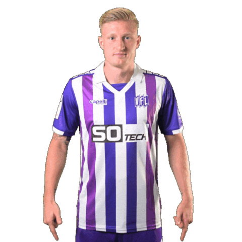 Sponsor Sticker by VfLOsnabrueck