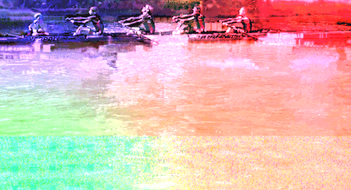 psy row GIF by The NGB