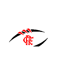 Bfa Futebol Americano Sticker by Flamengo Imperadores
