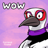 Look Wow GIF by VeeFriends