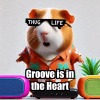 GIF by Guinea Gambino