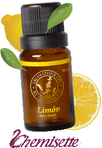 Lemon Oil Sticker by Chemisette