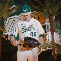 South Florida Baseball GIF by USF Athletics
