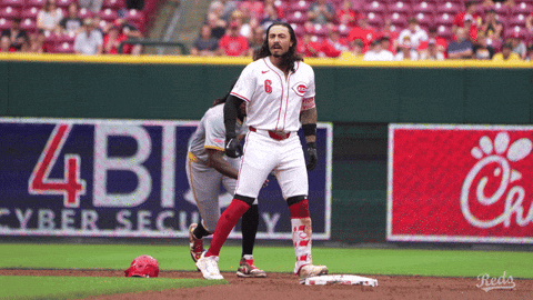 Baseball Yell GIF by Cincinnati Reds