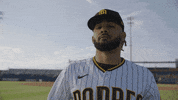 Major League Baseball GIF by MLB