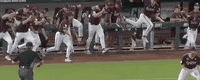 College World Series Baseball GIF by NCAA Championships