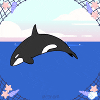 Killer Whale Fox GIF by Animation Domination High-Def