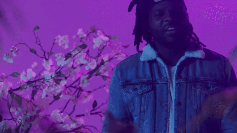 skrr skrr GIF by Dear Silas