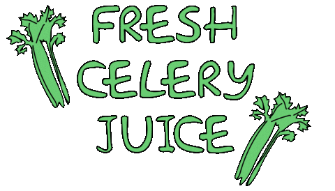 MODappliances giphyupload juice mod celery Sticker