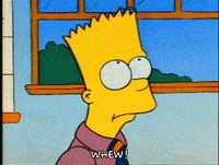 Season 1 GIF by The Simpsons
