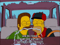 homer simpson neighbors GIF