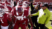 GIF by Temple Owls