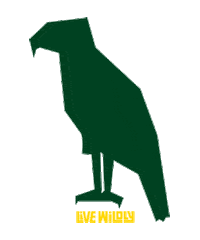 Art Basel Miami Sticker by LiveWildlyFL