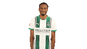 Borussia Moenchengladbach Yes Sticker by Bundesliga